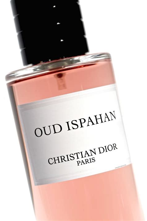 gris dior vs oud ispahan|oud ispahan zara dupe.